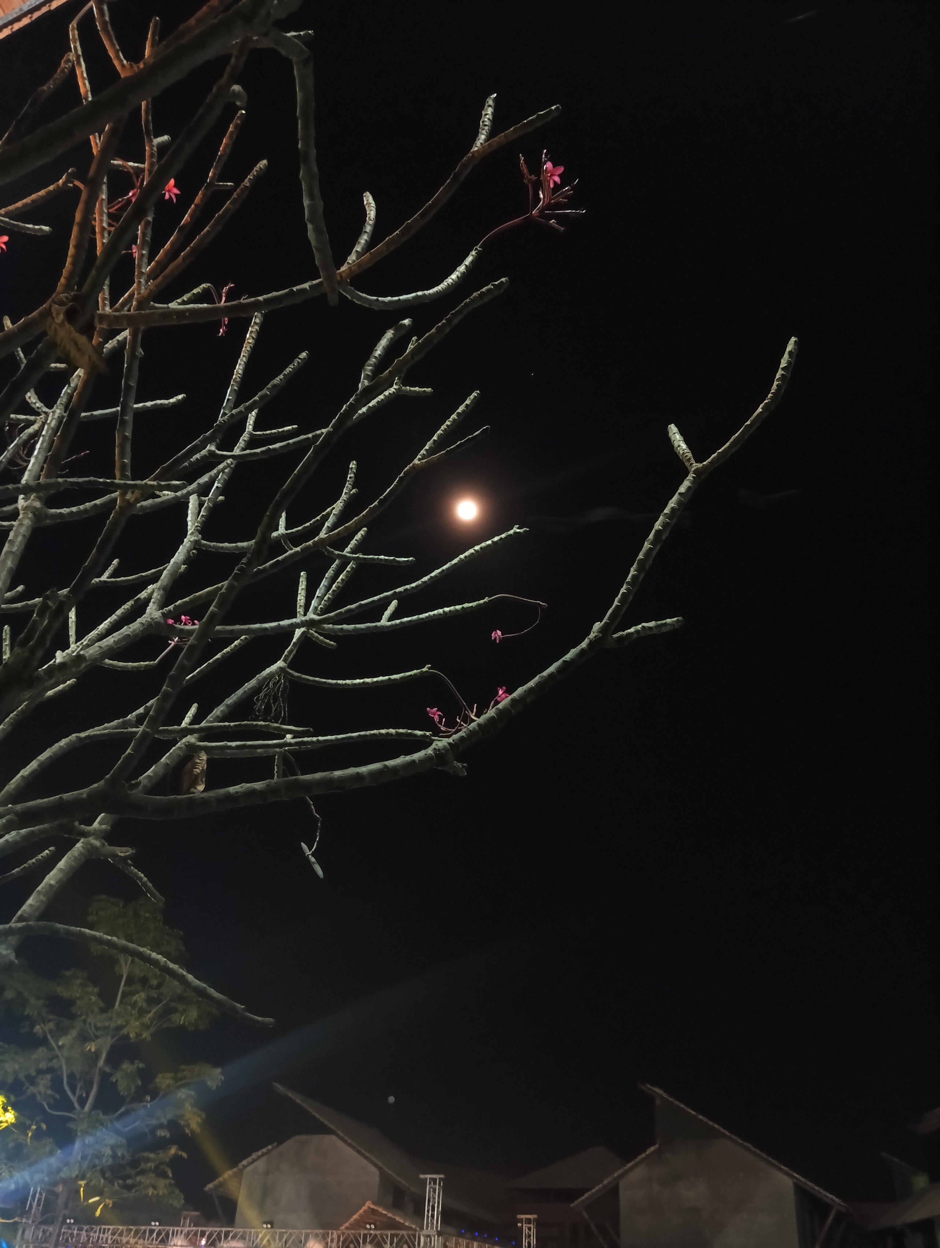 Additional PG Hostel Image 7